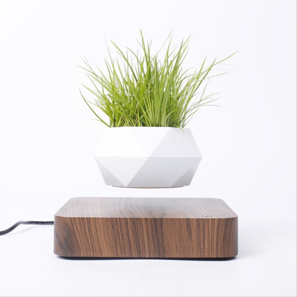 LevitateBloom Schwebender Bonsai-Topf | Magischer Luftpflanzenhalter