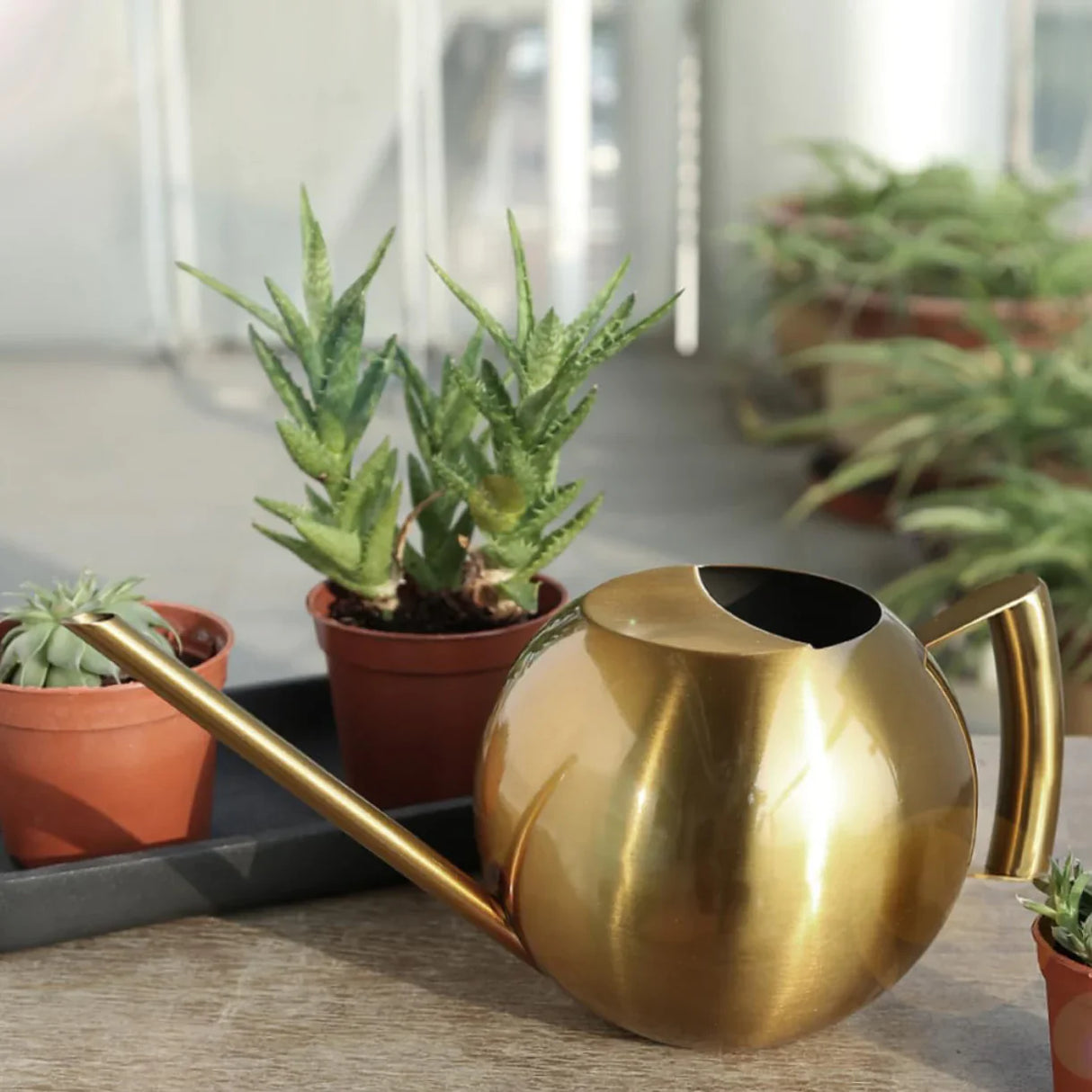 PlantFlow Minimalist Gießkanne | Modernes Design | Perfekt für Zimmerpflanzen