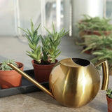 PlantFlow Minimalist Gießkanne | Modernes Design | Perfekt für Zimmerpflanzen