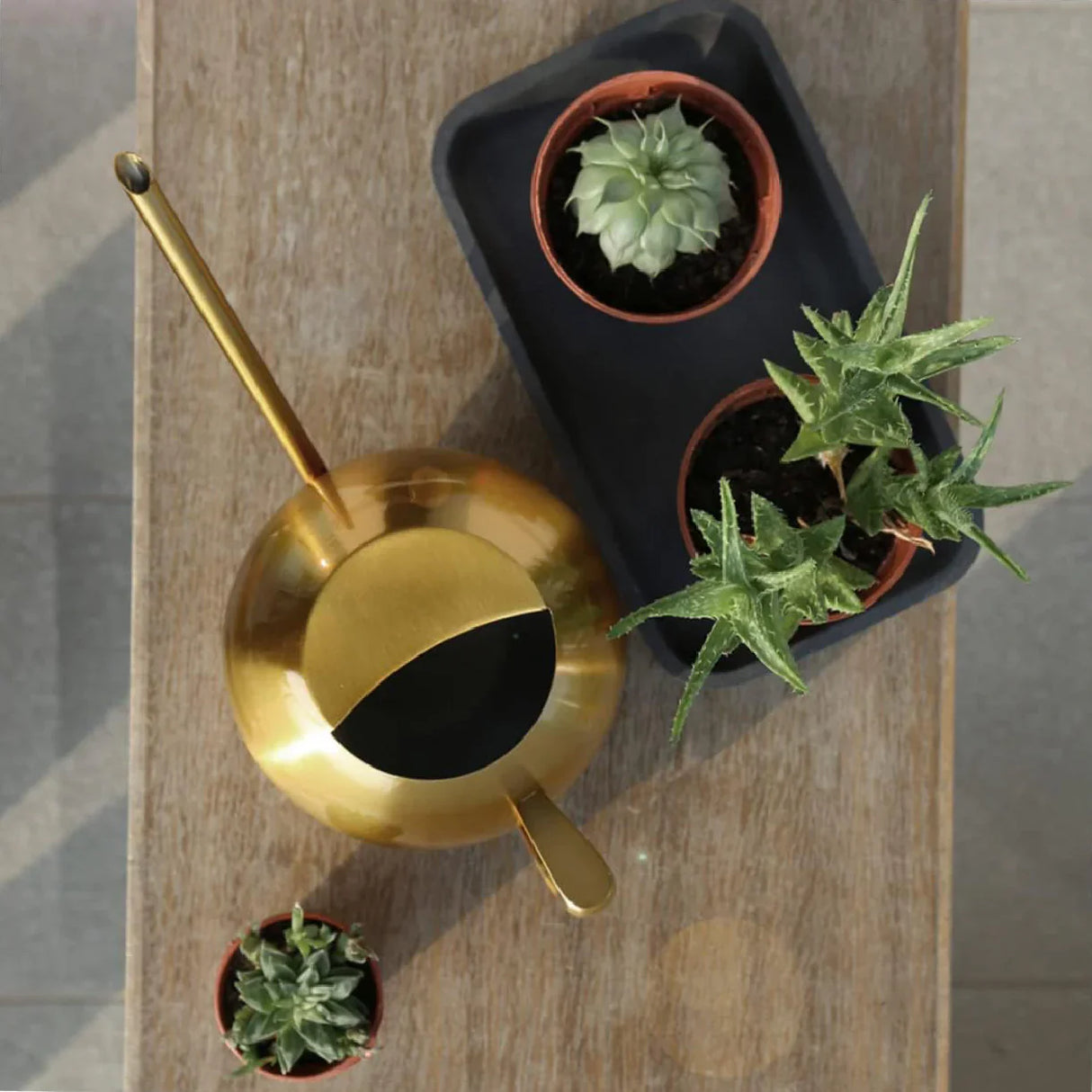 PlantFlow Minimalist Gießkanne | Modernes Design | Perfekt für Zimmerpflanzen