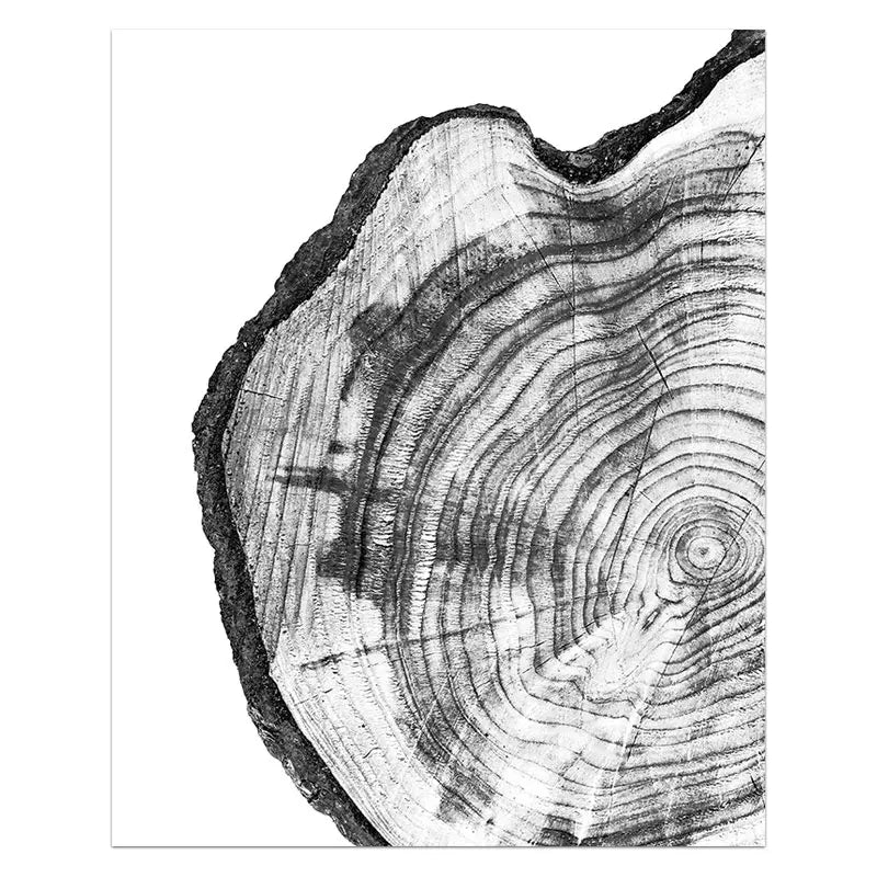 TimberArt Baumstumpf Leinwand | Naturinspirierte Wanddekoration | Holzoptik Kunst für Zuhause