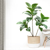 GreenBliss Deko-Zweige | Kunst-Feigenzweige | Natürliche Optik | Dekoration für Zuhause und Büro