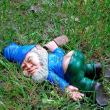 Gnomify Gartenzwerge | Lustige Gartenfiguren | Lebhafte Dekoration für Garten & Balkon | Wetterfest