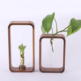 PlantSphere Hohler Pflanzenvermehrer | Dekorative Pflanzenzuchtstation | Perfekt für Zuhause & Büro