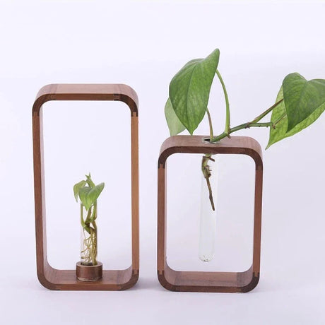PlantSphere Hohler Pflanzenvermehrer | Dekorative Pflanzenzuchtstation | Perfekt für Zuhause & Büro