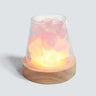 PureAura Kristallleuchte | Himalaya Salzlampe mit Öl-Diffusor | Nachtlicht & Luftreinigung