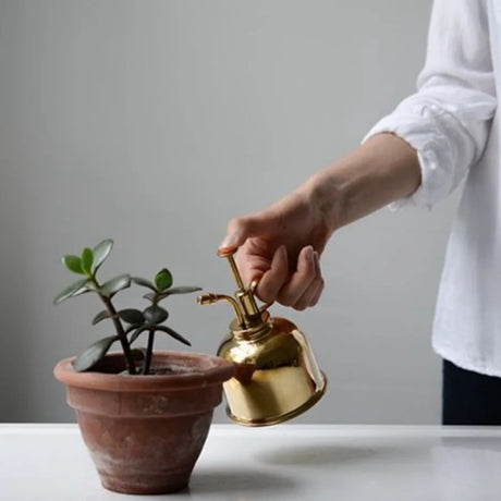 PlantLuxe Premium Pflanzensprüher | Goldene Sprühflasche für Pflanzenpflege | Stilvolles Zubehör für Zimmerpflanzen