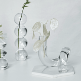 LoopSphere Hydroponik Vase im Kreisdesign | Modernes Pflanzgefäß | Minimalistische Dekoration | Für Zuhause oder Büro
