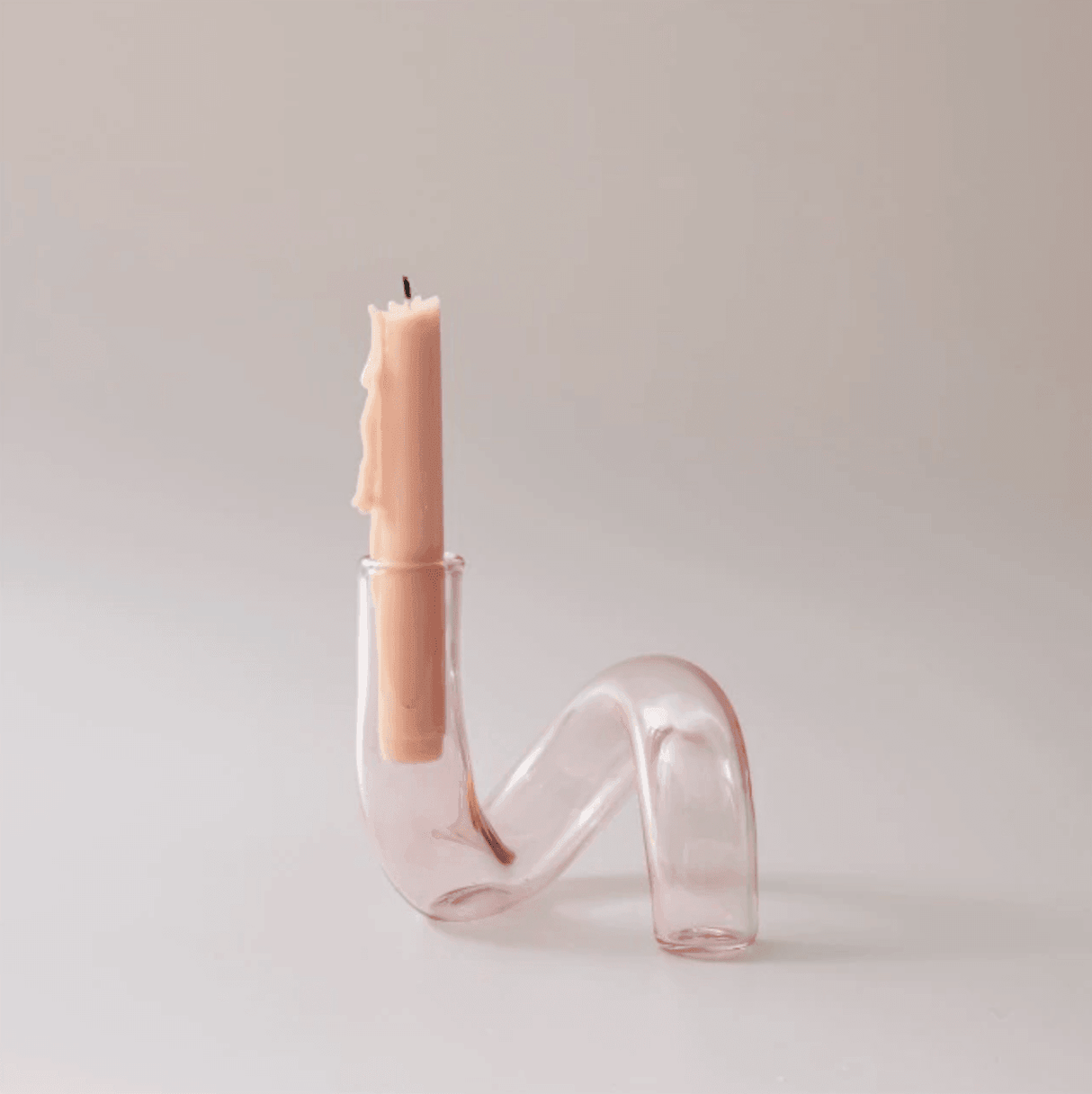 LoopSphere Hydroponik Vase im Kreisdesign | Modernes Pflanzgefäß | Minimalistische Dekoration | Für Zuhause oder Büro
