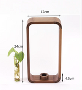 PlantSphere Hohler Pflanzenvermehrer | Dekorative Pflanzenzuchtstation | Perfekt für Zuhause & Büro