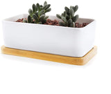 EcoTray Bambus Untersetzer für Blumentöpfe | Natürliche Pflanzenunterlagen in Verschiedenen Formen & Größen