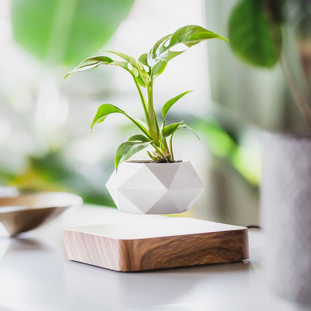 LeviPot Schwebender Blumentopf | Elegantes Design