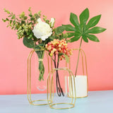 FloraHaven Propagation Vase | Nordic Design Blumenhalter | Glas Test Tube Pflanzgefäß | Deko für Zuhause