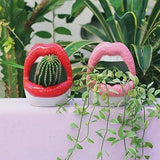 KissBloom Lippen-Keramik Blumentopf | Einzigartiges Design | Für Pflanzen & Deko | In Rot, Rosa & Lila