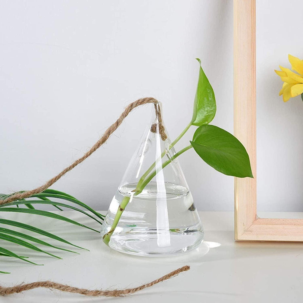 GlasLuxe 3-teiliges Set Glas-Hänge-Terrarienvasen | Elegante Pflanzenhalter | Deko für Zuhause