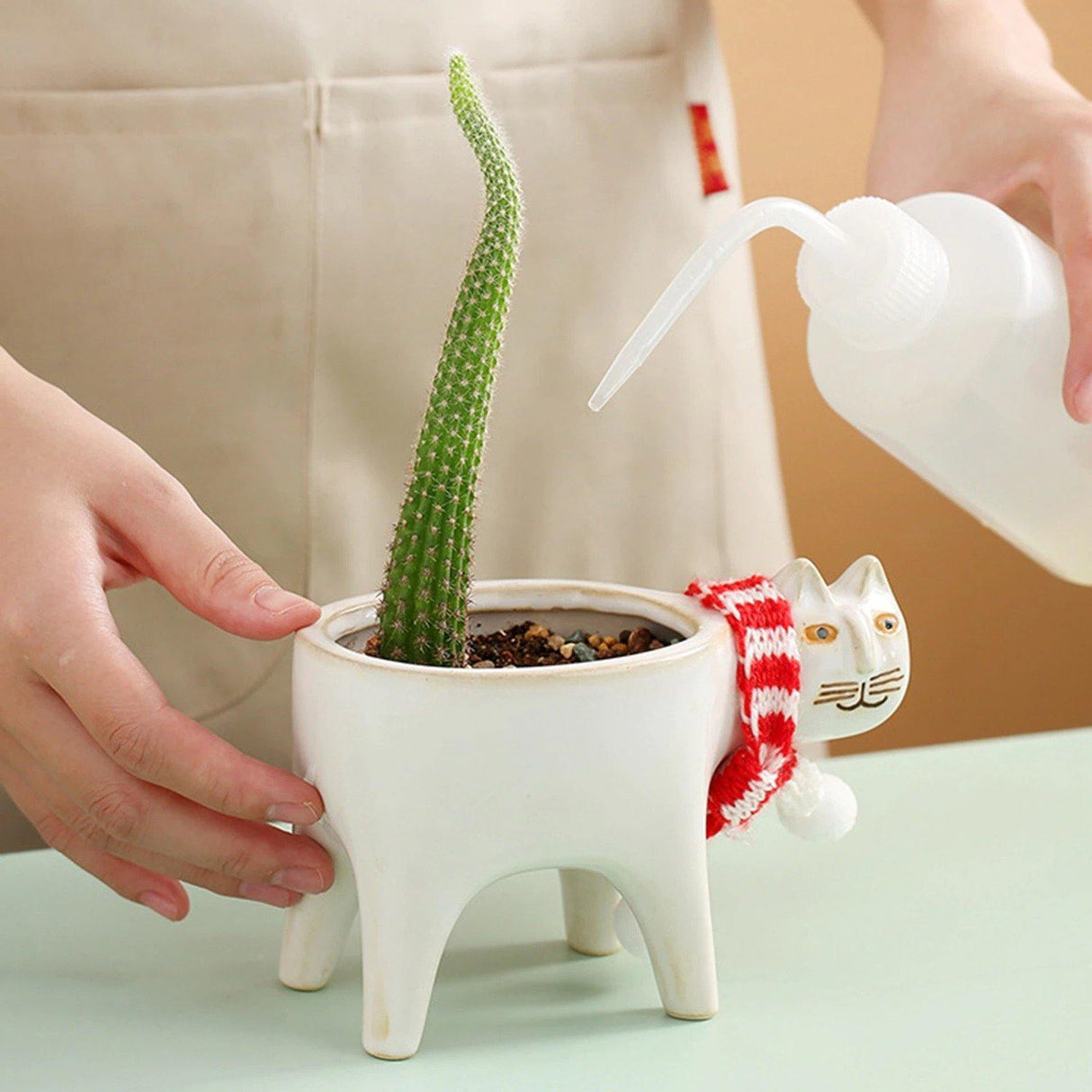 KittyCharm Glasiertes Keramik-Pflanzgefäß | Katzen-Design | Stilvolle Deko