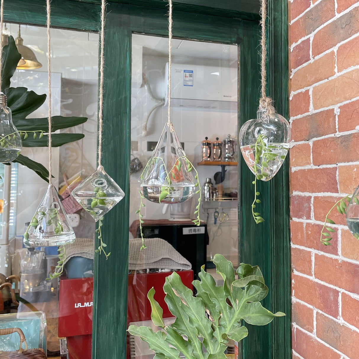 GlasLuxe 3-teiliges Set Glas-Hänge-Terrarienvasen | Elegante Pflanzenhalter | Deko für Zuhause