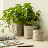 EcoBag Planter Tasche | Wasserdicht & Nachhaltig | Pflanzentasche aus Papier | Umweltfreundlich & Stilvoll