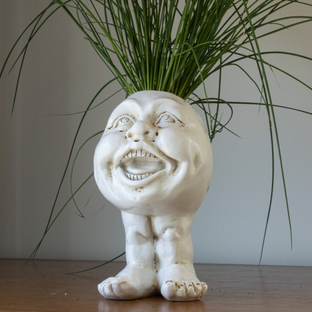 FunnyFace Charakter Pflanzentöpfe | Lustige Blumentöpfe mit Persönlichkeit | Indoor & Outdoor Deko