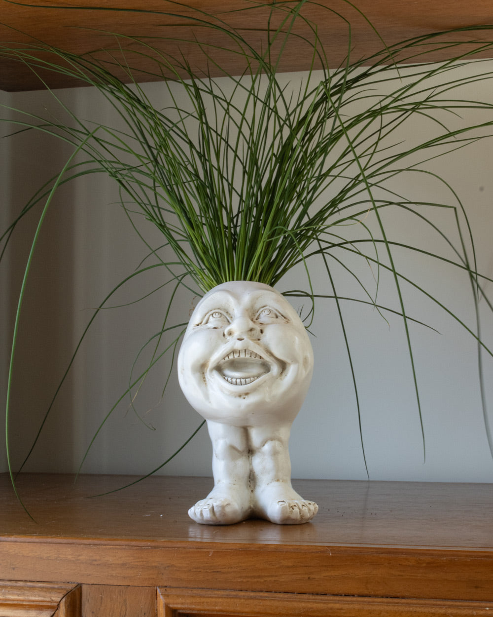 FunnyFace Charakter Pflanzentöpfe | Lustige Blumentöpfe mit Persönlichkeit | Indoor & Outdoor Deko