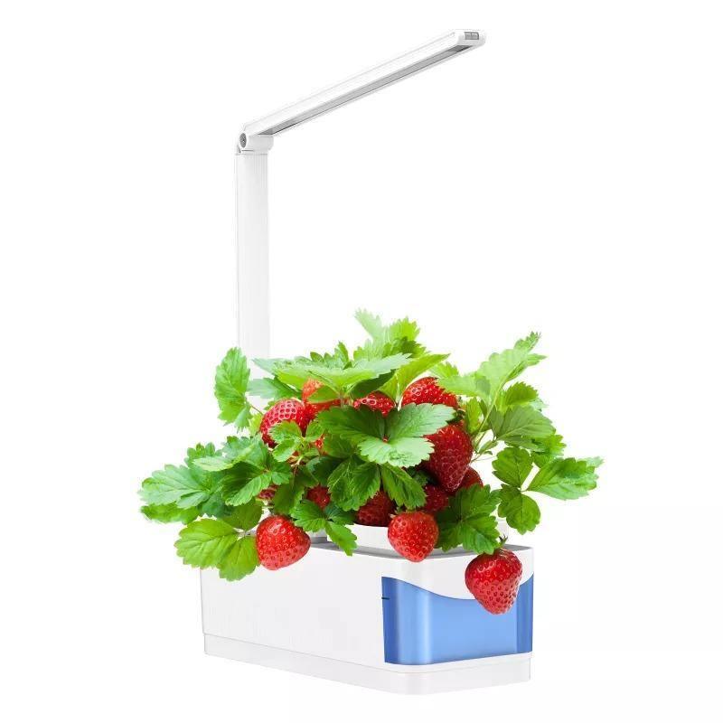 HerbGarden Hydroponisches LED-Kräuterbeet | Frische Kräuter das ganze Jahr über | Platzsparend | Einfache Bedienung