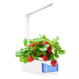 HerbGarden Hydroponisches LED-Kräuterbeet | Frische Kräuter das ganze Jahr über | Platzsparend | Einfache Bedienung
