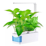 HerbGarden Hydroponisches LED-Kräuterbeet | Frische Kräuter das ganze Jahr über | Platzsparend | Einfache Bedienung