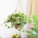 JuteNest Hängender Jutekorb für Pflanzen | Handgewebt | Boho-Stil | Ideal für Innen & Außen