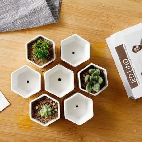 HexaBloom Keramik Pflanzengefäß | Mit Bambus-Untersetzer | Modernes Design für Sukkulenten
