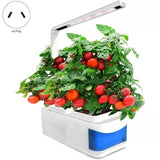 HerbGarden Hydroponisches LED-Kräuterbeet | Frische Kräuter das ganze Jahr über | Platzsparend | Einfache Bedienung