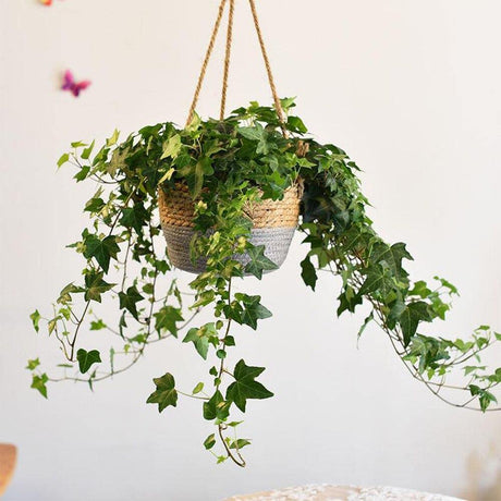 JuteNest Hängender Jutekorb für Pflanzen | Handgewebt | Boho-Stil | Ideal für Innen & Außen