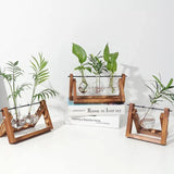 EcoGrow Glas Anzuchtvase mit Holzständer | Minimalistisches Design | Pflanzgefäß für Zuhause | Deko für Pflanzenliebhaber