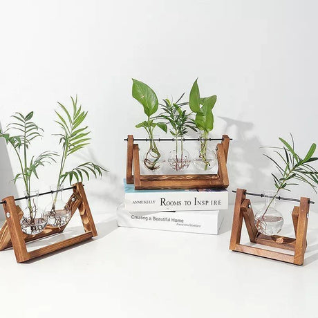 EcoGrow Glas Anzuchtvase mit Holzständer | Minimalistisches Design | Pflanzgefäß für Zuhause | Deko für Pflanzenliebhaber