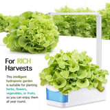 HerbGarden Hydroponisches LED-Kräuterbeet | Frische Kräuter das ganze Jahr über | Platzsparend | Einfache Bedienung