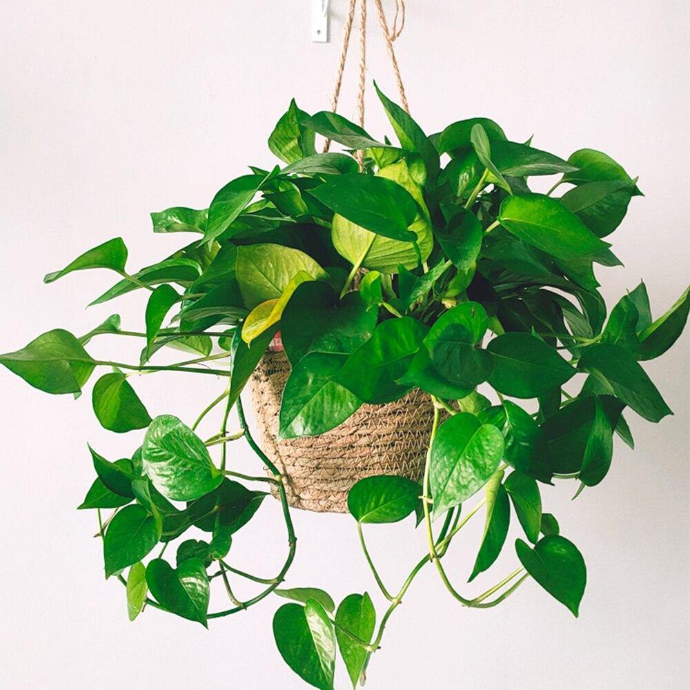 JuteNest Hängender Jutekorb für Pflanzen | Handgewebt | Boho-Stil | Ideal für Innen & Außen