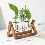 EcoGrow Glas Anzuchtvase mit Holzständer | Minimalistisches Design | Pflanzgefäß für Zuhause | Deko für Pflanzenliebhaber