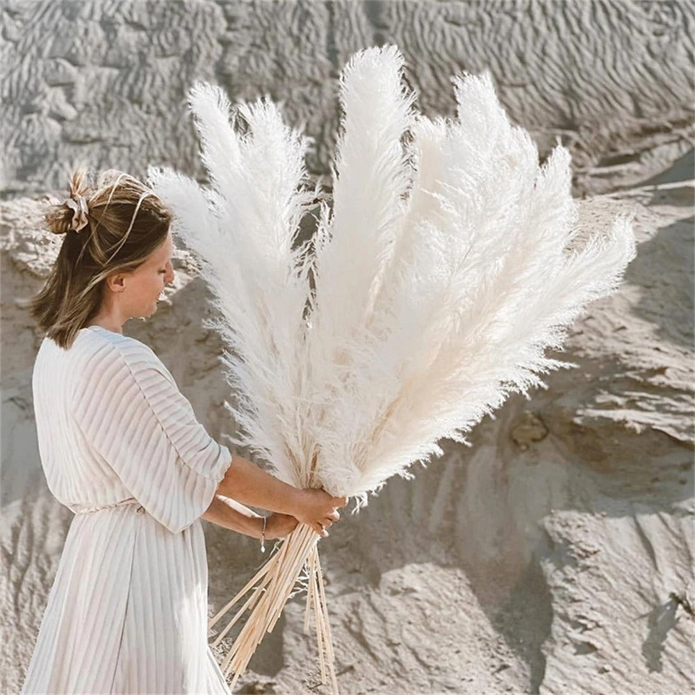 FeatherBloom Pampasgras | Große Federn für luxuriöse Dekoration | Trockenblumen für Zuhause & Events