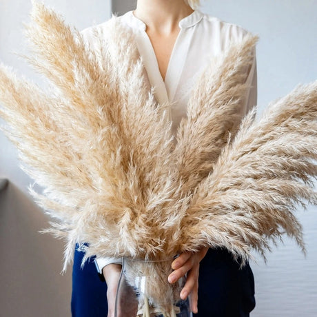 FeatherBloom Pampasgras | Große Federn für luxuriöse Dekoration | Trockenblumen für Zuhause & Events
