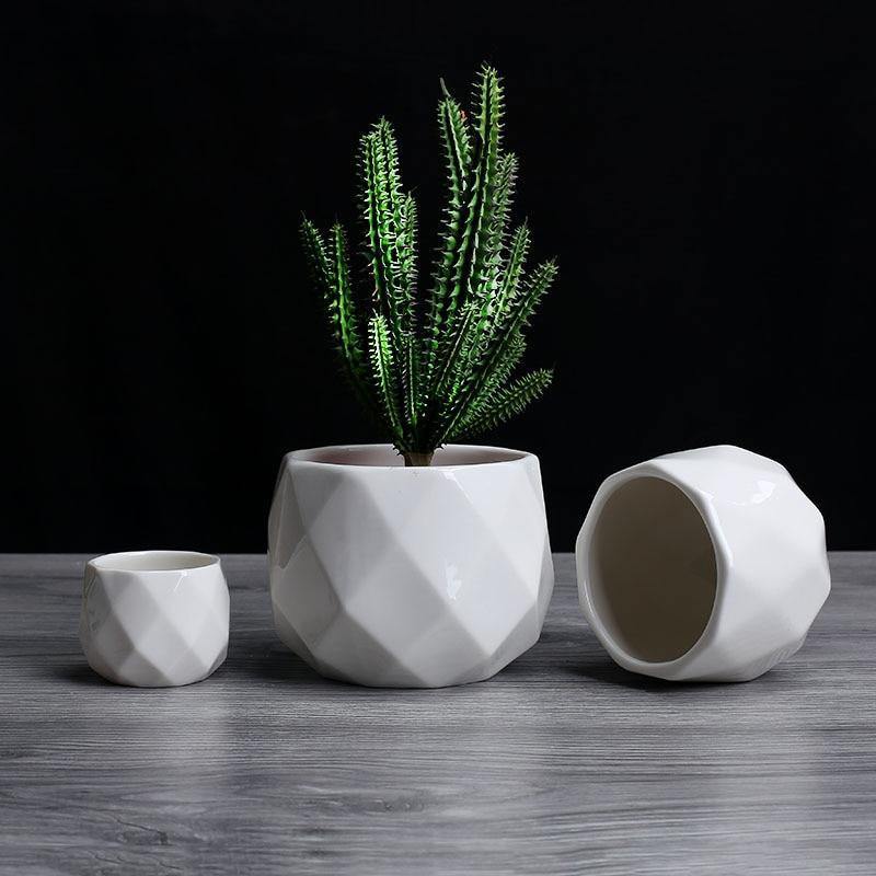 GeoBloom Runde Diamant Keramik Sukkulententöpfe | Modernes Design | Verschiedene Größen