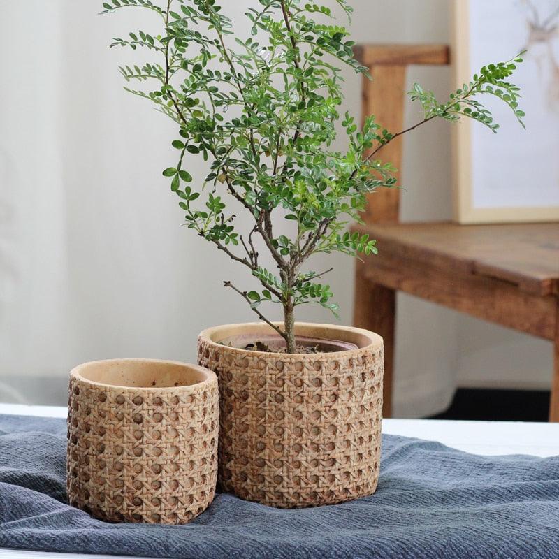 TerraWeave Rattan Struktur Pflanztopf | Handgefertigter Zement Übertopf | Für Indoor & Outdoor | Modernes Design