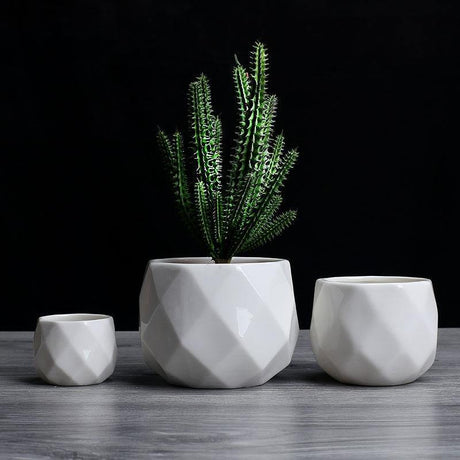 GeoBloom Runde Diamant Keramik Sukkulententöpfe | Modernes Design | Verschiedene Größen