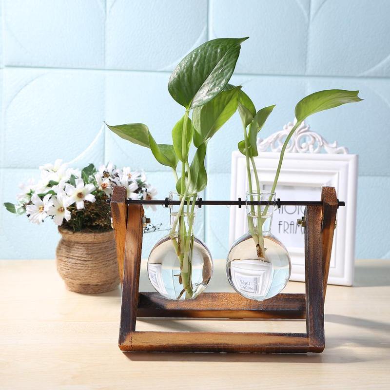 EcoGrow Glas Anzuchtvase mit Holzständer | Minimalistisches Design | Pflanzgefäß für Zuhause | Deko für Pflanzenliebhaber