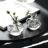 HydroPom Glas-Hydroponik Vase | Stilvolle Pflanzenvermehrung für Ihr Zuhause