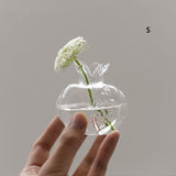 HydroPom Glas-Hydroponik Vase | Stilvolle Pflanzenvermehrung für Ihr Zuhause