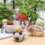 PawPot Aktiv Hund Pflanztopf | Stilvolles Deko-Accessoire | Perfekt für Sukkulenten