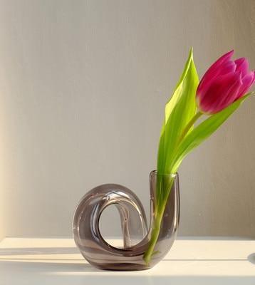 LoopSphere Hydroponik Vase im Kreisdesign | Modernes Pflanzgefäß | Minimalistische Dekoration | Für Zuhause oder Büro