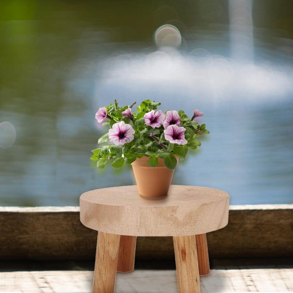 EcoPlanter Holz Pflanzenständer | Erhöhter Blumentopfhalter | Minimalistisches Design | Perfekt für Wohnzimmer