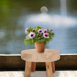 EcoPlanter Holz Pflanzenständer | Erhöhter Blumentopfhalter | Minimalistisches Design | Perfekt für Wohnzimmer