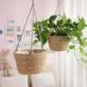 JuteNest Hängender Jutekorb für Pflanzen | Handgewebt | Boho-Stil | Ideal für Innen & Außen