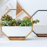 GeoFrame Keramik Wandpflanztopf mit Metallrahmen | Octagon Design